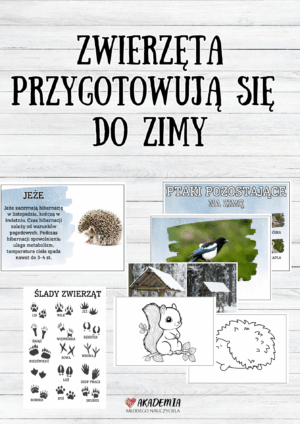 ZESTAW "ZWIERZĘTA PRZYGOTOWUJĄ SIĘ DO ZIMY"