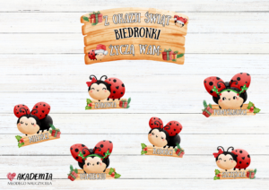DEKORACJA ŚWIĄTECZNA - BIEDRONKI