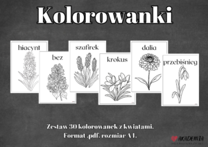 Zestaw kolorowanek"Kwiaty"