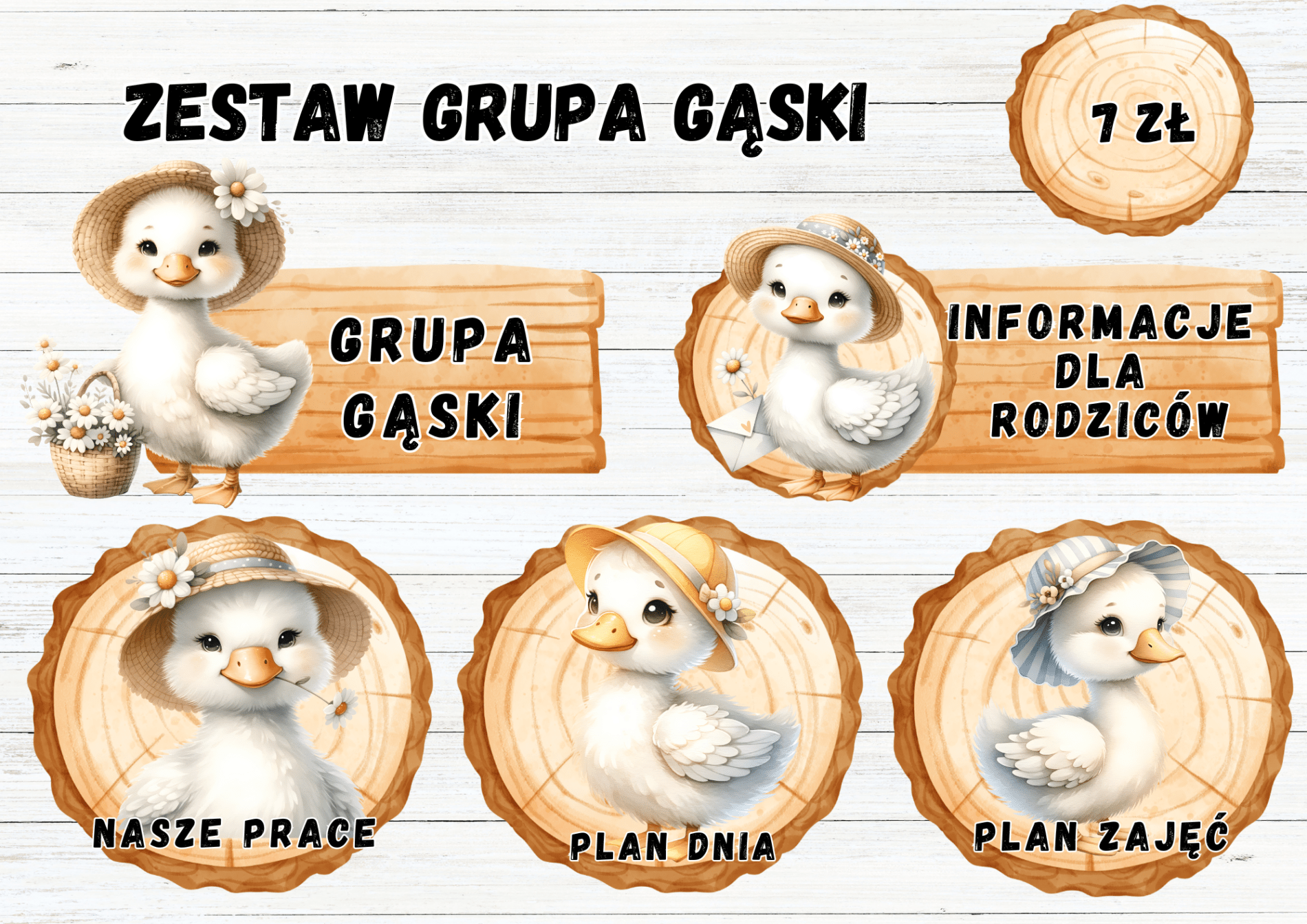ZESTAW GRUPA GĄSKI