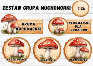 ZESTAW GRUPOWY "GRUPA MUCHOMORKI"