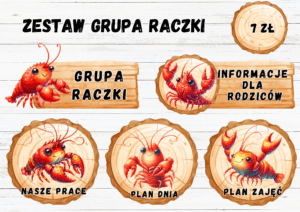 ZESTAW GRUPOWY GRUPA "RACZKI"